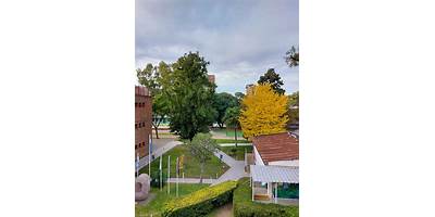 COLEGIO TARBUT