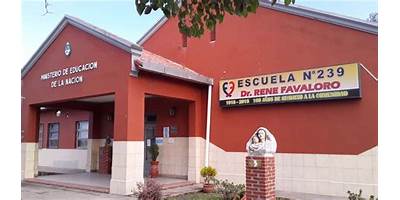 ESC. N° 239 - DR. RENE FAVALORO