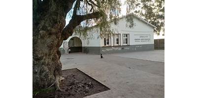 ESCUELA DE EDUCACIÓN PRIMARIA Nº9 COMODORO MARTÍN RIVADAVIA
