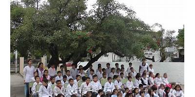 ESCUELA NRO 6392 CARLOS JAVIER BENIELLI