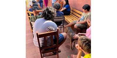 Imagen de la galería