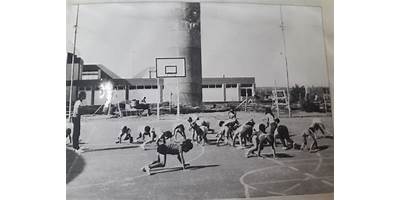 Imagen de la galería