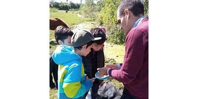 Imagen de la galería