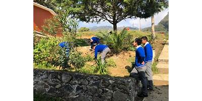 Imagen de la galería