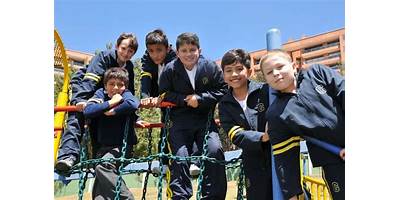 Imagen de la galería