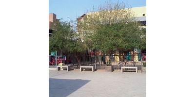 Imagen de la galería