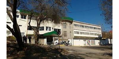 Imagen de la galería