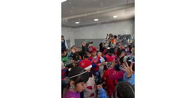 Imagen de la galería