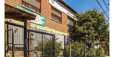Imagen de la galería