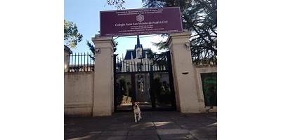 COLEGIO SAN VICENTE DE PAUL