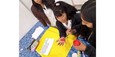 COLEGIO SECUNDARIO PLURICURSO CON ITINERANCIA Nº 5181