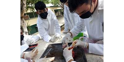 Imagen de la galería