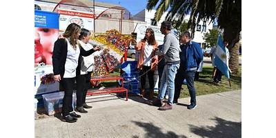 Imagen de la galería