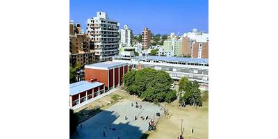 Imagen de la galería