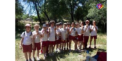 Imagen de la galería