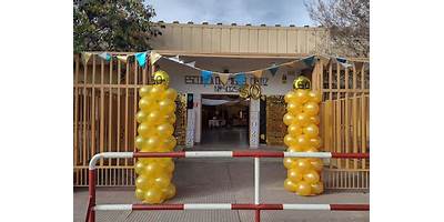 Imagen de la galería