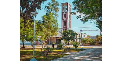 Imagen de la galería