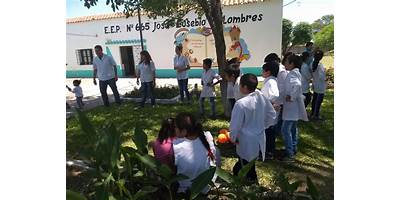 Imagen de la galería