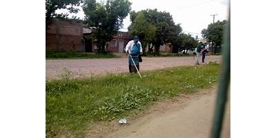 Imagen de la galería