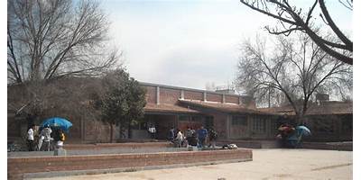 E.E.S. ORIENTADA NRO 515 DR. RENÉ GERÓNIMO FAVALORO