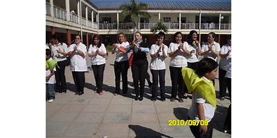 Imagen de la galería