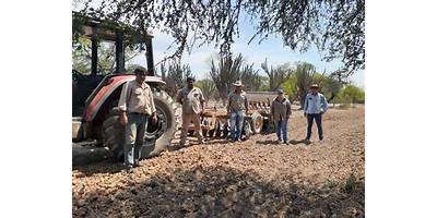 EPES AGROTECNICA  Nº 11