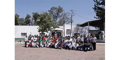 Imagen de la galería