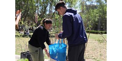 Imagen de la galería