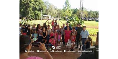 Imagen de la galería