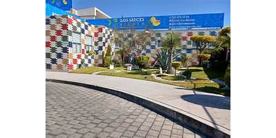 ESC. SRTIC SAUCE HUASCHO