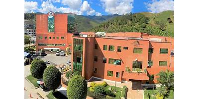 Imagen de la galería