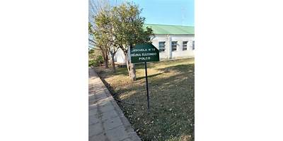 Imagen de la galería