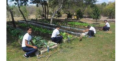 ESC.TECNICO AGROPECUARIA-E.M.E.T.A (ESC.N°300 MAESTRO ALILONUÑEZ)
