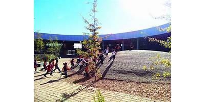 Imagen de la galería