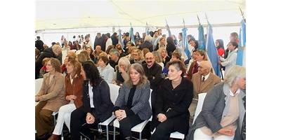 Imagen de la galería