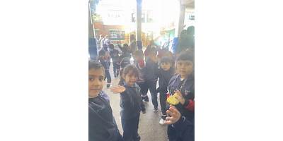 Imagen de la galería