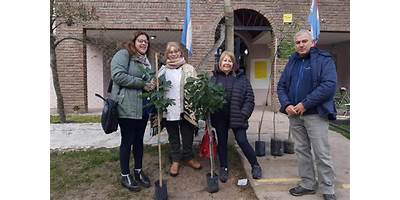 Imagen de la galería