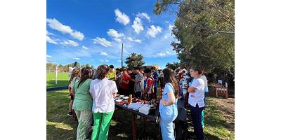 Imagen de la galería