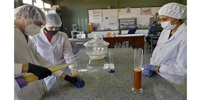 Imagen de la galería