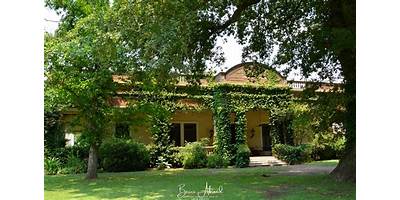 ESCUELA DE EDUCACIÓN SECUNDARIA Nº5