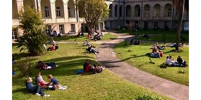 Imagen de la galería