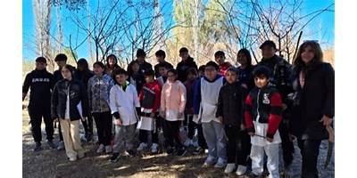 Imagen de la galería