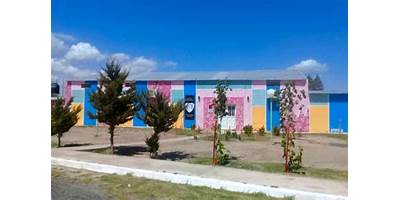 Imagen de la galería