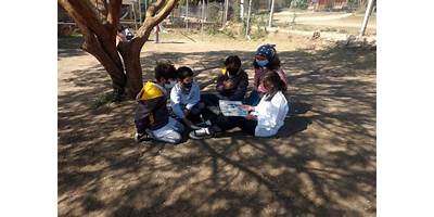 Imagen de la galería