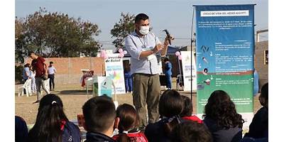 Imagen de la galería