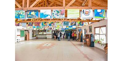 Imagen de la galería