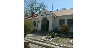 Imagen de la galería