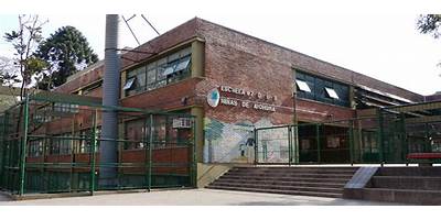 Imagen de la galería