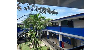 Imagen de la galería