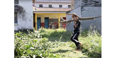 Imagen de la galería